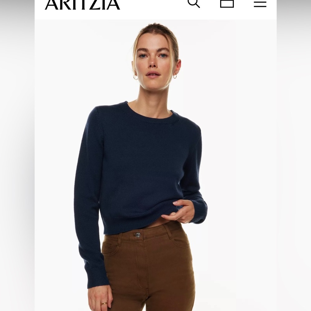 Like New Aritzia Crop Sweater